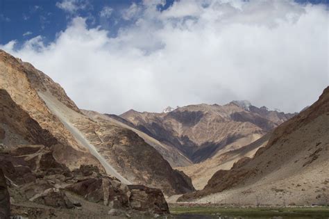 Biodiversity Of Cold Desert At Ladakh Triponary