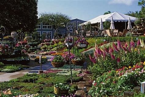 List of nurseries in austria, belgium, czech republic, greece, poland, slovakia, slovenia, switzerland and the ukraine. Image Result For Garden Center Nursery Image Result For ...