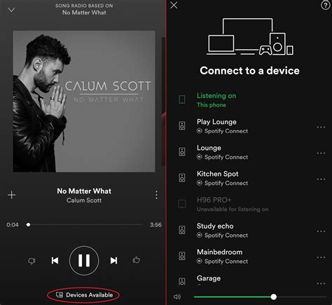 Alexa Spotify Setup Infinity Smart Home