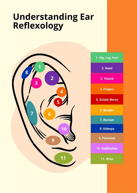 Free Reflexology Chart Templates And Examples Edit Online And Download