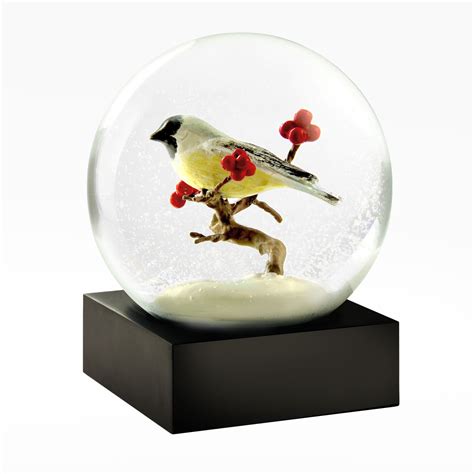 Coolsnowglobeschickadee Snow Globe Snow Globes Personalised Snow