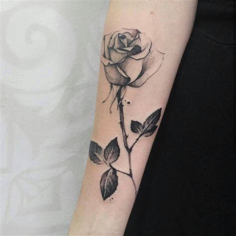 Sketch Work Rose Tattoo On The Right Inner Forearm