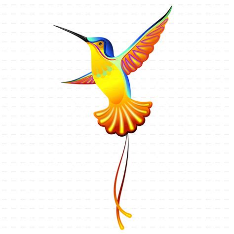 Hummingbird Exotic Designs By Bluedarkat Graphicriver
