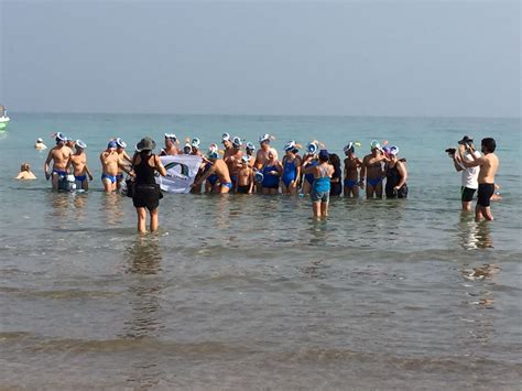 25 swimmers brave the dead sea israel21c