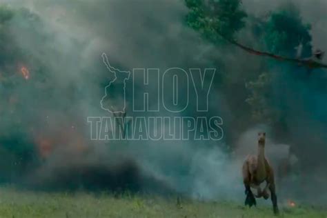Hoy Tamaulipas Jurassic World 3 Reune A Tres Actores Originales De Jurassic Park