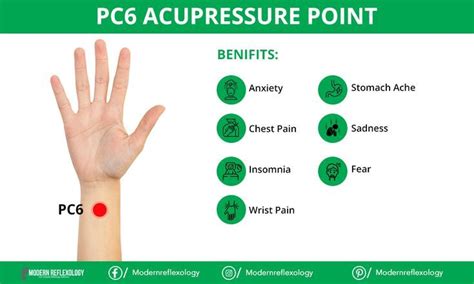 Acupressure Points For Eczema Disorder Artofit
