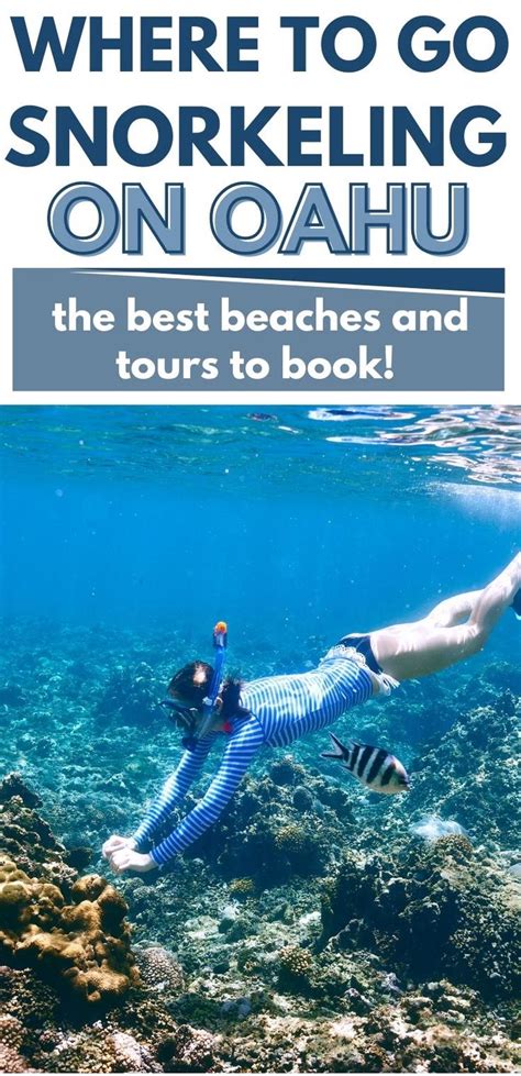 Best Places To Snorkel On Oahu Plus Epic Tours To Book Asap Hawaii