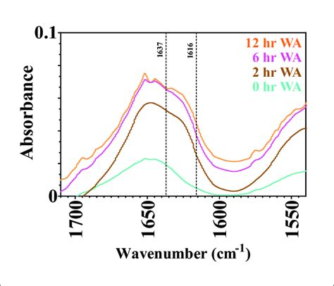 Ftir Absorbance Spectra Of 0 2 6 And 12 H Water Annealed Silk