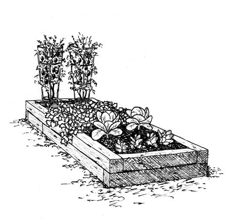 Raised Garden Bed Kits - Solar Energy System Design and Installation
