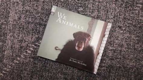 We Animals Jo Anne Mcarthur Retrata El Dolor Animal En Su Libro
