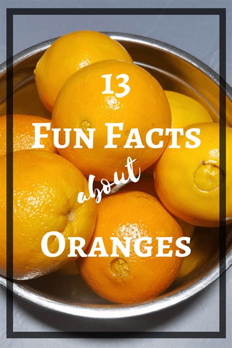 13 Important And Fun Facts About Oranges Real The Kitchen And Beyond