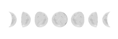 Premium Vector Moon Phases On A White Background