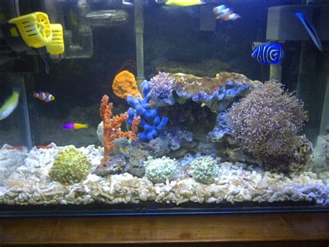 Sehingga tetap bisa menjaga situasi di dalam aquarium. Inspirasi 48+ Hiasan Mainan Aquarium