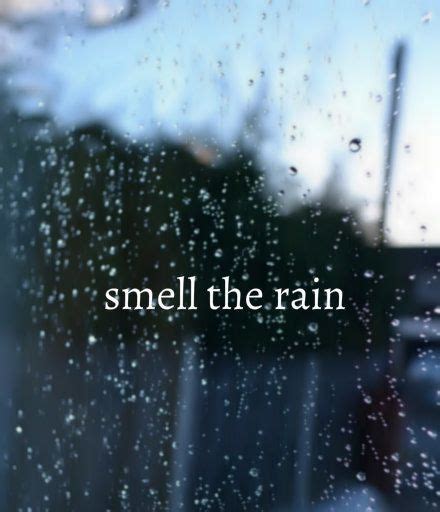Smell The Rain Quotes Rain Water Outdoors Window Wet Smell Rain