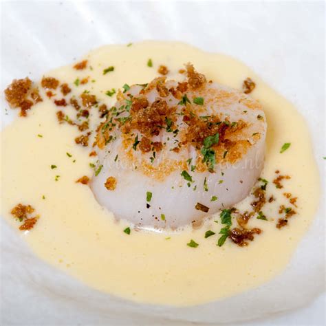 Coquille Saint Jacques à la crème au citron