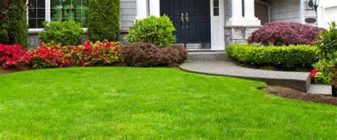 Beautiful garden lawn care and property maintenance, brought to you by aeb property services, we serve around the blue mountains area. Landscaping & Lawn Maintenance in Land O' Lakes, FL