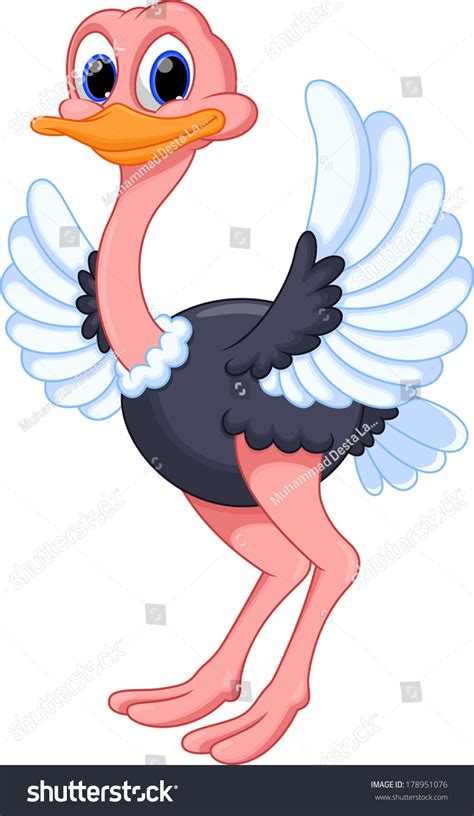 Funny Ostrich Cartoon Stock Vector Royalty Free 178951076 Shutterstock