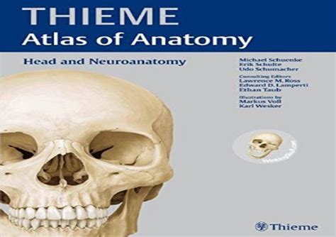 Head And Neuroanatomy Thieme Atlas Of Anatomy Thieme Atlas Of