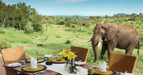 African Safari Holiday Destinations