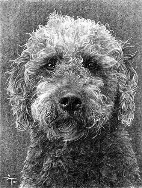 Realistic Drawing Of Animals