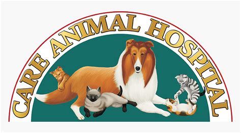 Care Animal Hospital Logo2 Rough Collie Hd Png Download Kindpng