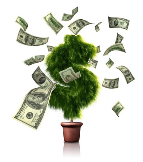 Growing A Moneytree Do Money Trees Exist
