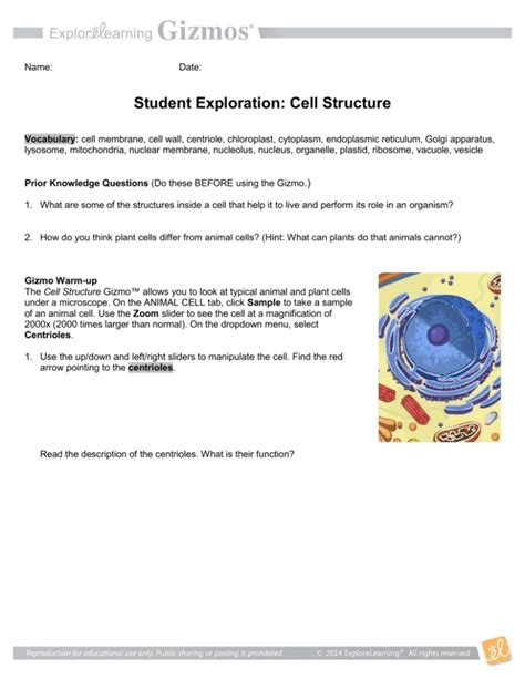 Start studying cell division gizmo. Meiosis Gizmo Answer Key / Meiosis Cheat Sheet By Leahs ...