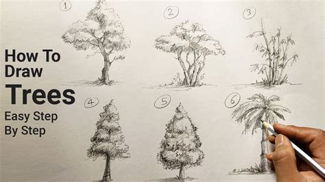 How To Draw Trees Easy Step By Step Different Type Of Trees Art
