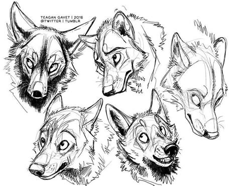 Wolf Character Rysunki Zwierząt Rysunki Szkice