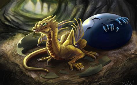 Dragon Hatchling Dragon Pictures Fantasy Dragon Dragon Art