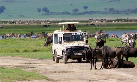 Serengeti Safari Package Prices