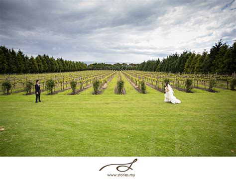 At morning star estate we have the capabilities to cater for wedding ceremonies. Morning Star Estate, Melbourne: The Wedding of Sam & Kathy - Malaysia Wedding Photographer And ...