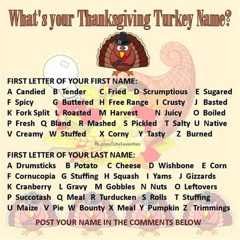 Each year since 1947, the national turkey federation and the poultry and egg national board have given a turkey to the president of the united states at a white house ceremony. The top 30 Ideas About Thanksgiving Turkey Names - Best ...