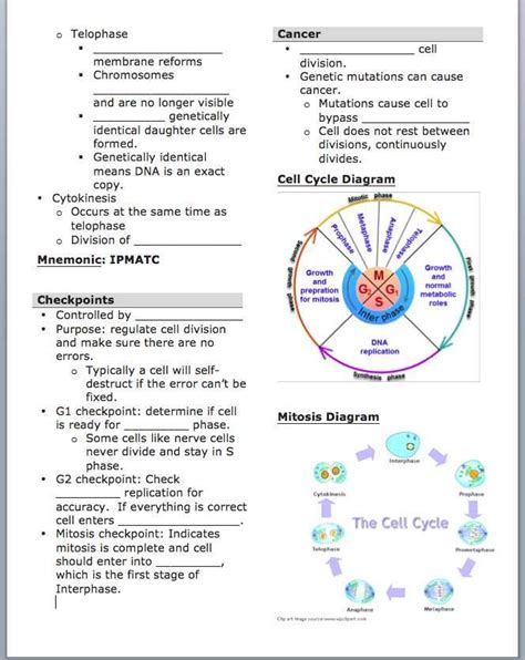 Upsc general studies (gs) and csat answer key pdf.upsc cse prelims expected cutoff marks 2020.upsc ias prelims answer key 4th october 2020.the union public service commission (upsc) conducted the civil services prelims 11. Pin on Biology