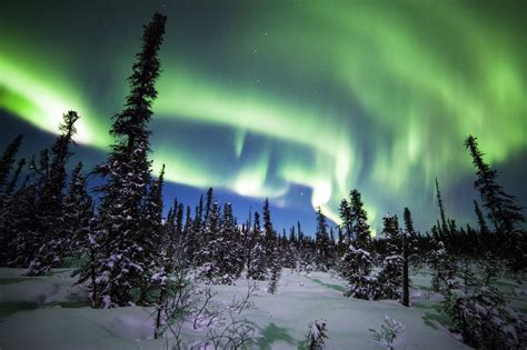 Fondos De Pantalla Eeuu Cielo Alaska Denali National Park Aurora