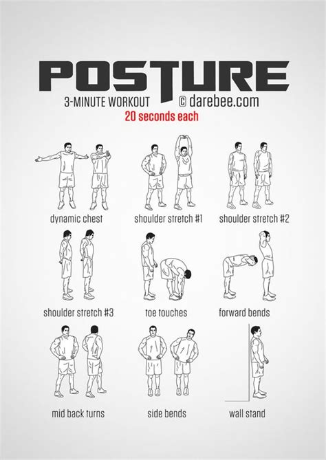 These muscles are able to move the upper limb as they originate at the vertebral column and insert onto. Instructions: Repeat each exercise for 20 seconds one after the other with no rest in between ...