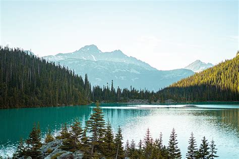 Mountains Trees Spruce Lake Forest Hd Wallpaper Peakpx