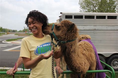 This pillow is fully customizable. Did you know camels tell funn... - GEICO Office Photo ...