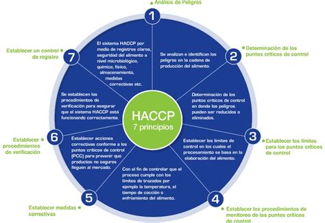 Haccp The Seven Principles As Per The Codex Alimentarius Química