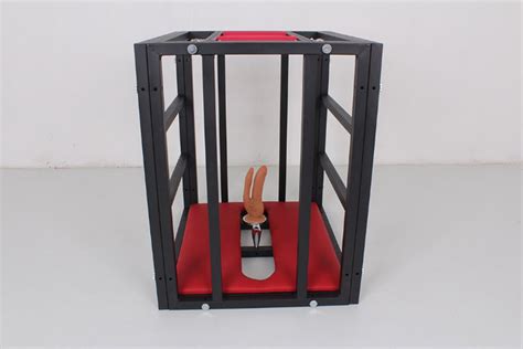 Sm Dog Cage Bdsm Cage Bondage Cage Dungeon Cage Training Etsy