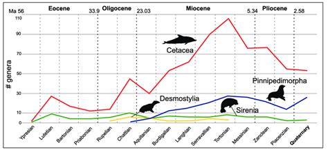 Generic Level Diversity Of Marine Mammal Groups Through Time Dashed