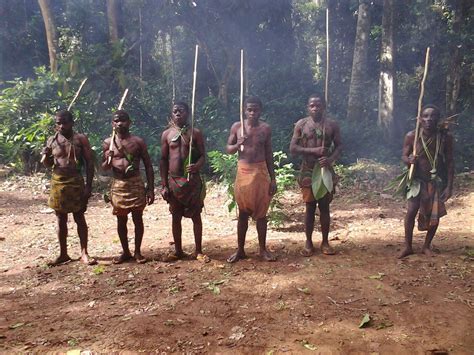 Rediscover Cameroons Pygmies Culture