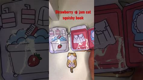 Strawberry 🍓 Jam Cat Squishy Book Pinkchu Diy Pinkchudiy Craft