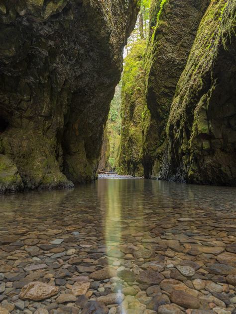 Pin By N B On Exterior Oneonta Gorge Beautiful Places Oneonta