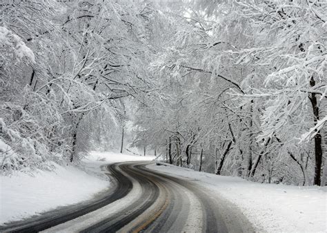 25 Winter Facts You Didnt Know