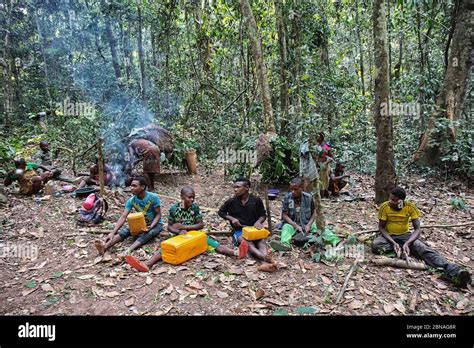 Pygmy Tribe In The Dzanga Sanha Forest Reserve Central African