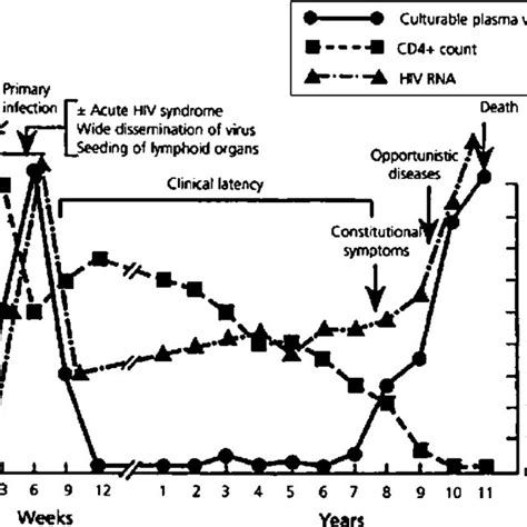 Natural History Of Human Immunodeficiency Virus Hiv Infection In The