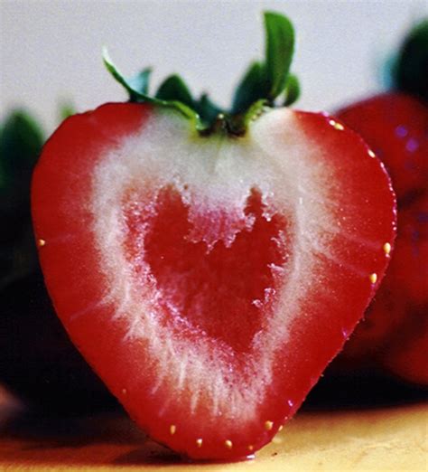 Free I Never Knew A Strawberry Cut In Half Looks Like A Heart Stock Photo
