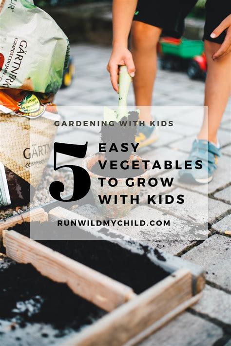 Gardening With Kids 5 Easy Vegetables To Grow • Run Wild My Child
