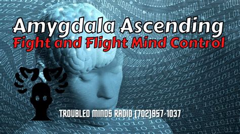 Amygdala Ascending Fight And Flight Mind Control For All Time Youtube